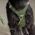 Hurtta Rover Harness Forest - bezuciskowe szelki guard dla psa easy walk