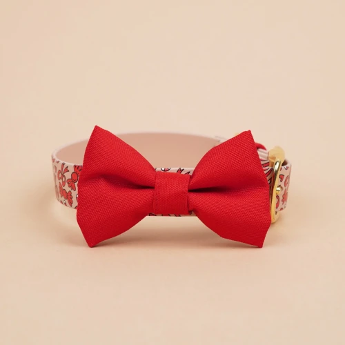 Czerwona-kokarda-do-obrozy-dla-psa-zalozona-na-obrozy,-elegancki-dodatek-na-swieta..webp