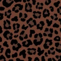 k-leo__preview (1).webp