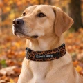 Miękka obroża regulowana dla dużego psa Leo Dog's Profit