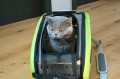 transporter_oktawian1.jpg